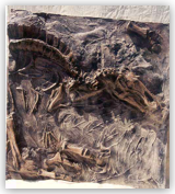 Fossil Dig Panel 10